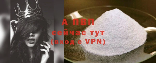 PSILOCYBIN Аркадак