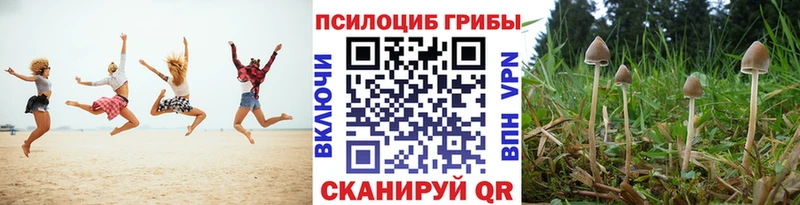 магазин  наркотиков  Якутск  Псилоцибиновые грибы мицелий 